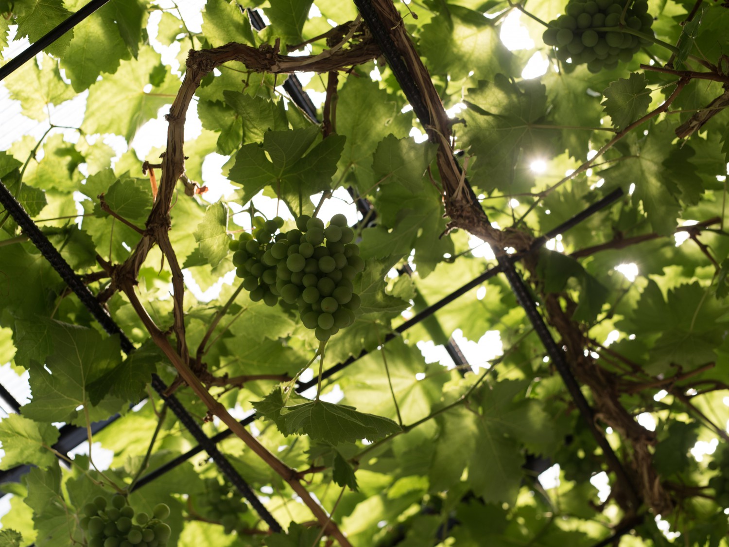 Den perfekta platsen för bröllop & fest